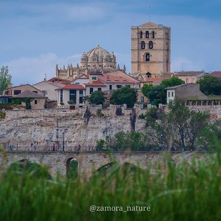 Apartament A Los Ojos Del Rio Duero Zamora Zewnętrze zdjęcie