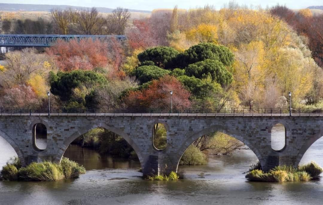 Apartament A Los Ojos Del Rio Duero Zamora Zewnętrze zdjęcie