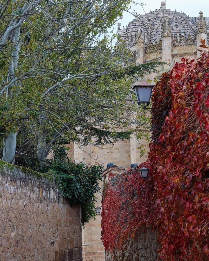 Apartament A Los Ojos Del Rio Duero Zamora Zewnętrze zdjęcie