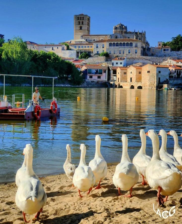 Apartament A Los Ojos Del Rio Duero Zamora Zewnętrze zdjęcie