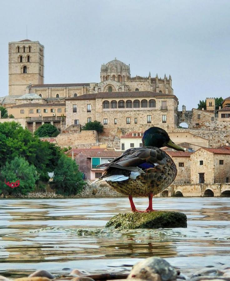 Apartament A Los Ojos Del Rio Duero Zamora Zewnętrze zdjęcie