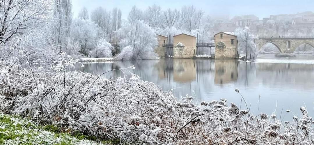 Apartament A Los Ojos Del Rio Duero Zamora Zewnętrze zdjęcie